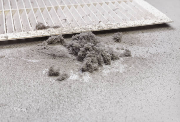 Best Commercial Air Duct Cleaning  in Stafford, TX