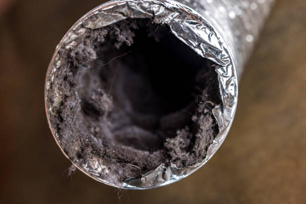 Best Air Duct Cleaning Near Me  in Stafford, TX
